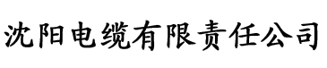 第二十三小莹的放纵欲视频电缆厂logo